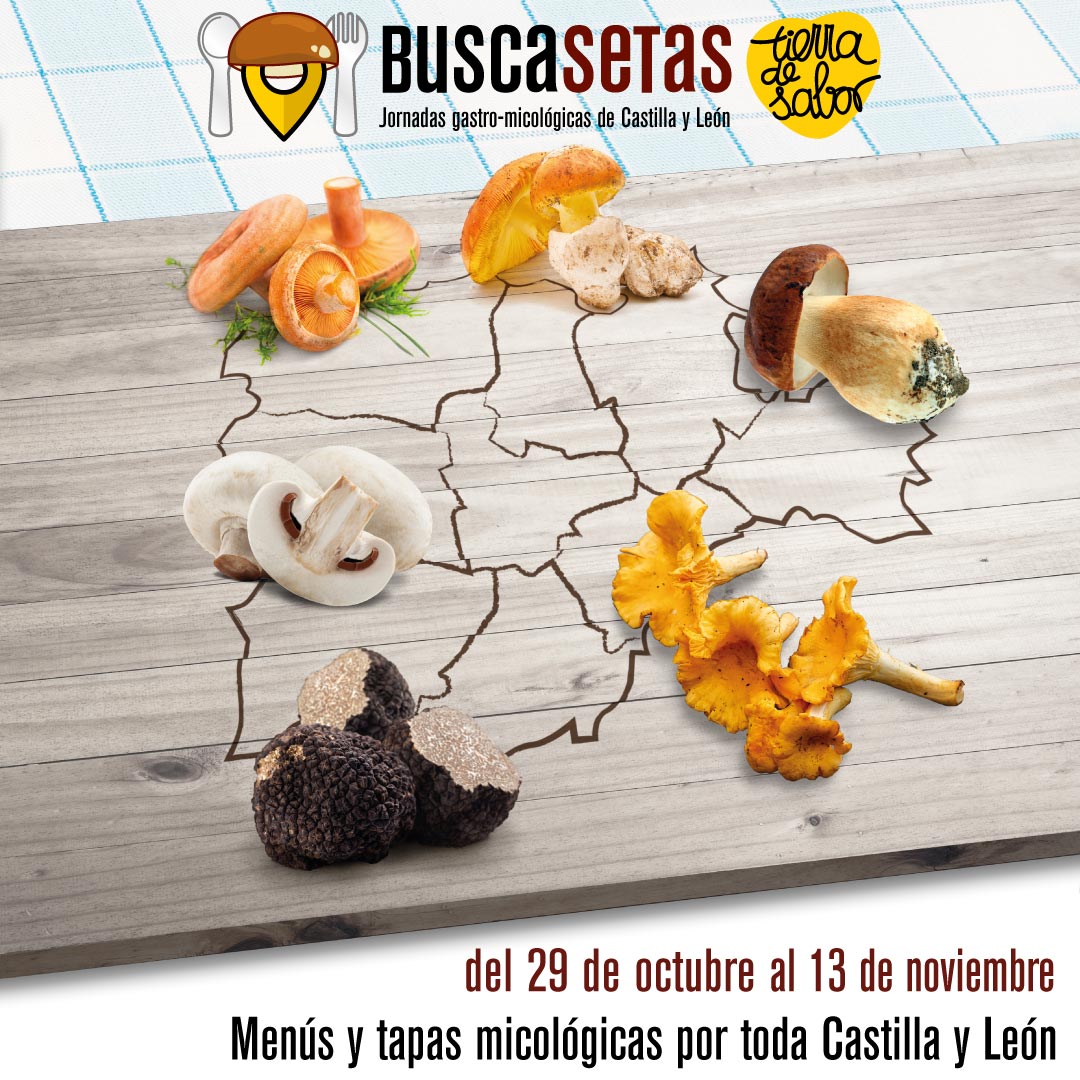 XXI Buscasetas - Jornadas Gastro-Micológicas de Castilla y León 2022