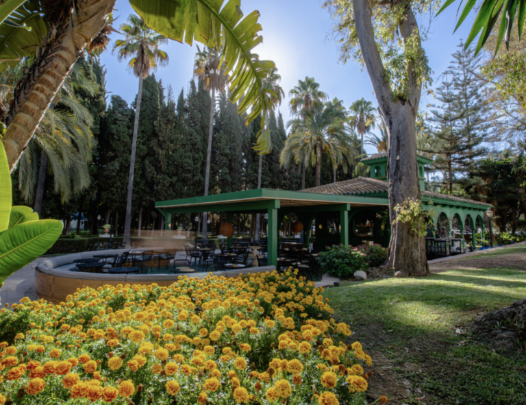 El Parque de La Milla 4 768x591