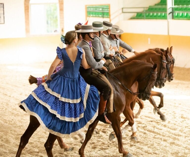 Espectaculo ‘Ritmo A Caballo en Torremolinos 768x634