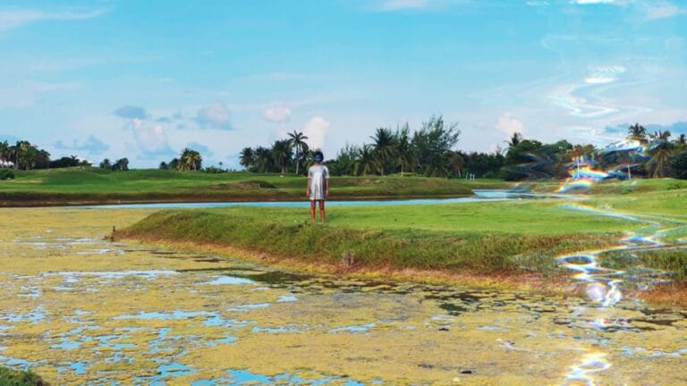 Exposicion El tercer polo Himali Singh Soin con musica de David Soin Tapesser en el Museo Thyssen Bornemisza 768x432