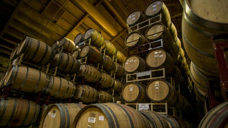 La Venencia 3 768x432