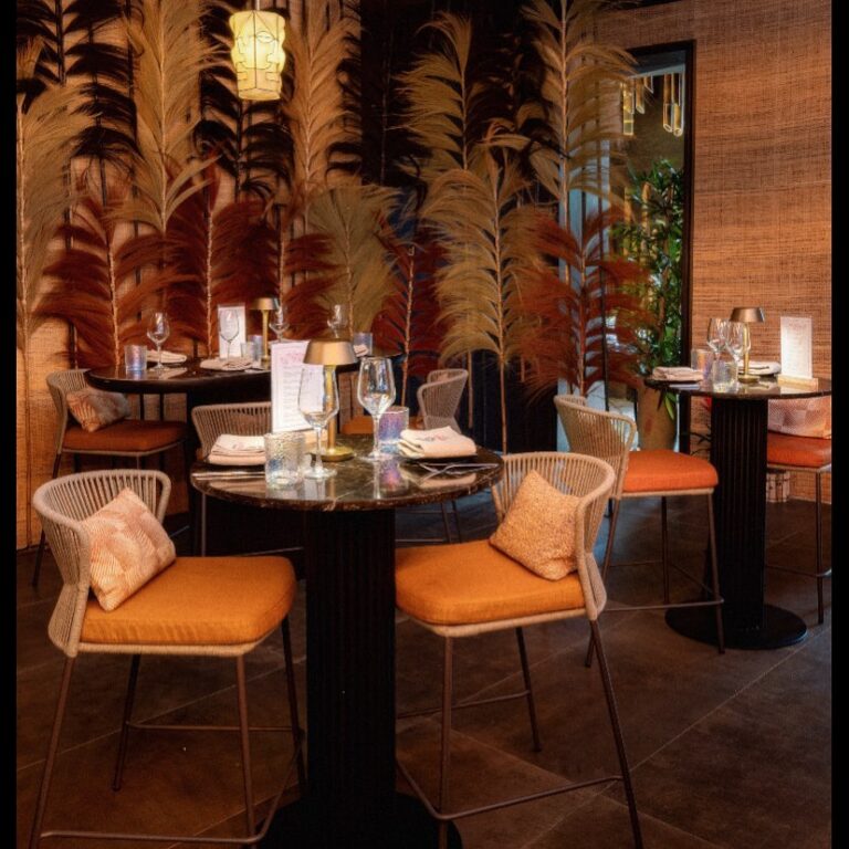 Lady Bongo 8 768x768