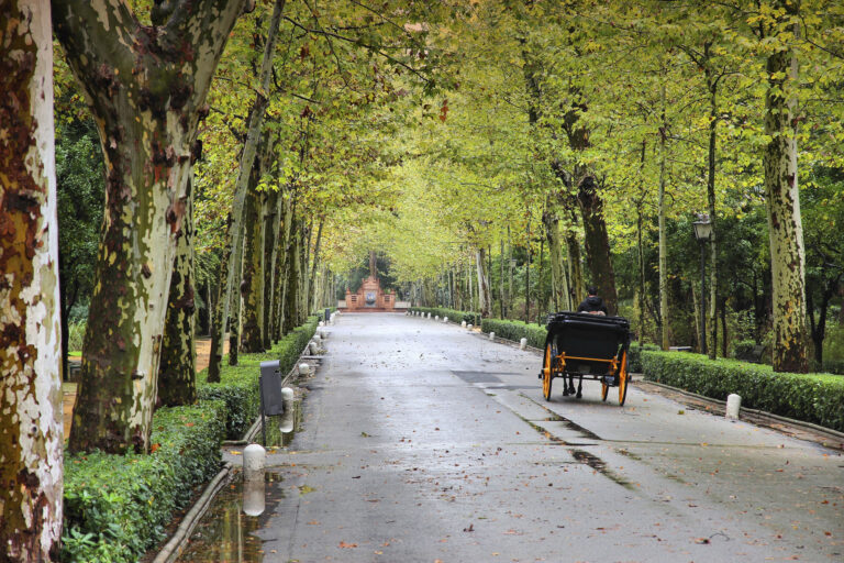 Parque de Maria Luisa Sevilla 3 768x512