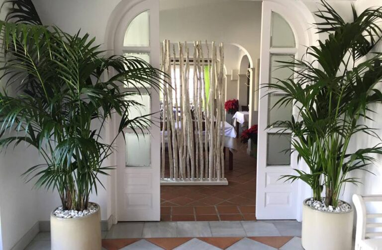 Cabo Norte Mojacar 768x504