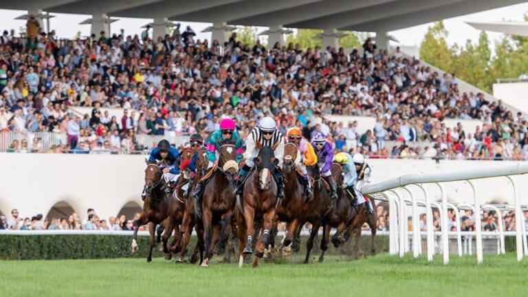 Carreras de Caballos en el Hipodromo de la Zarzuela 768x432