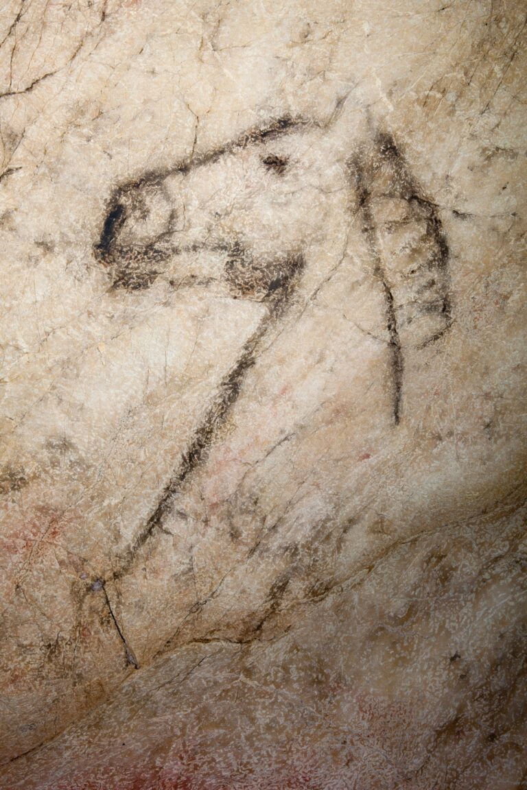 Cueva y Centro de Arte Rupestre Tito Bustillo 7 768x1152