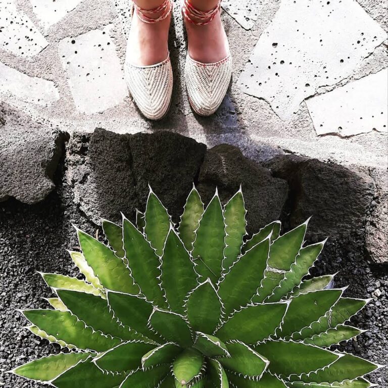 Del Sur Mojacar 8 768x768