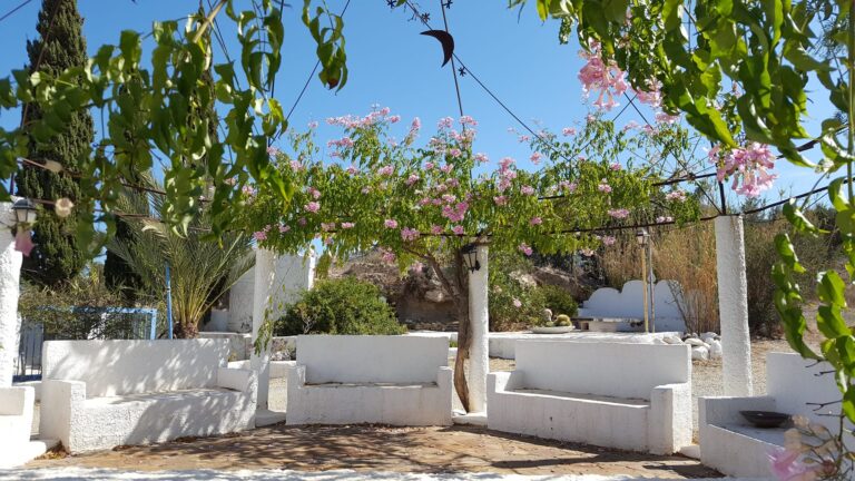 Delfos Del Faz 4 768x432