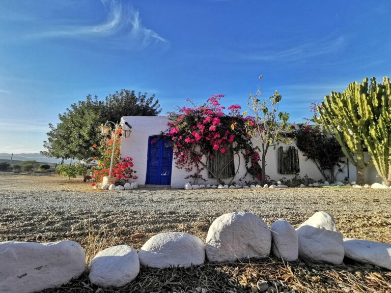 Delfos Del Faz 768x576