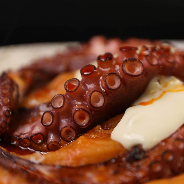 El Urogallo 3 768x768