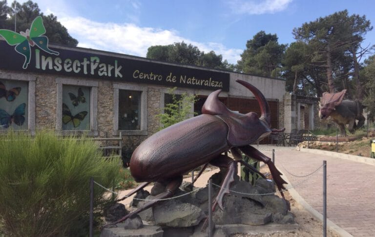 Insect Park 768x485