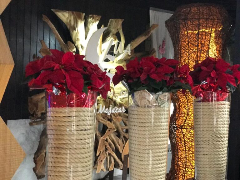 Lua Mojacar 4 768x576