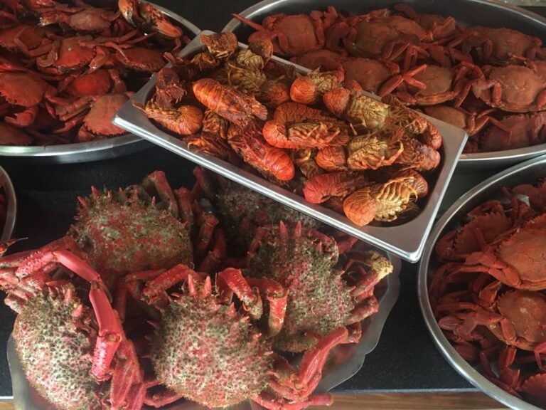 Yeyu Cercedilla 4 768x576