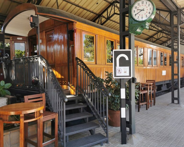 El vagon de Beni 6 768x614