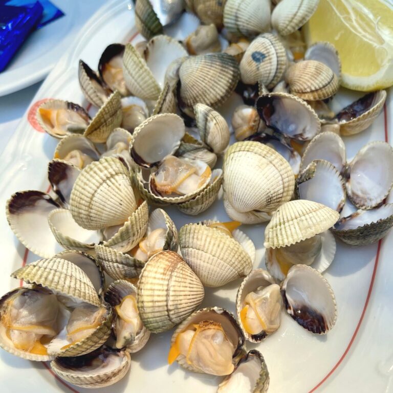 Flor de Galicia 10 768x768