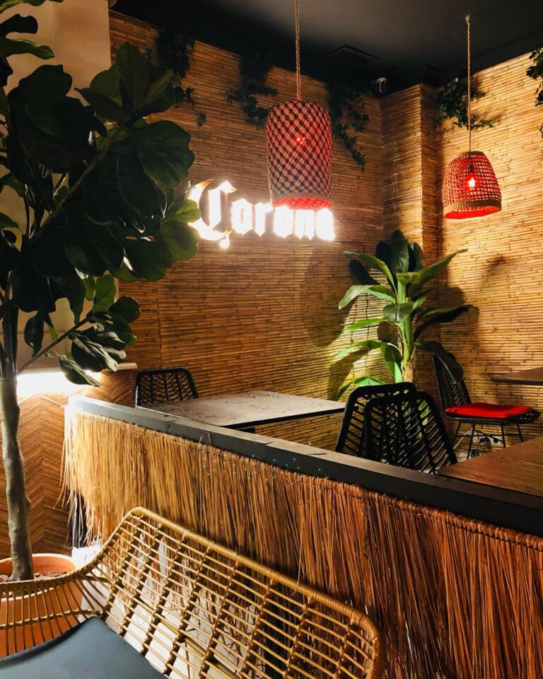 El Coyote Bar Mexa 3 768x960