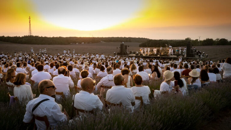 Festival de la Lavanda de Brihuega 2023 2 768x432