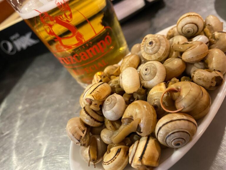 Blanco Cerrillo Pio XII 4 1 768x578