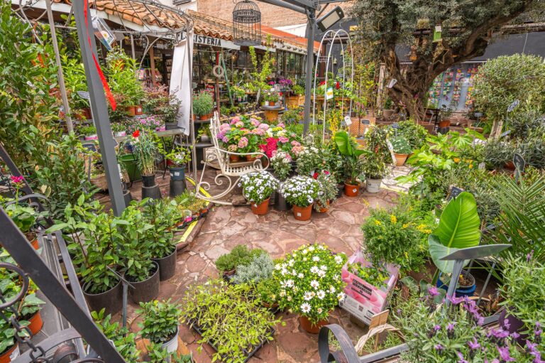 El Angel del Jardin 2 768x511