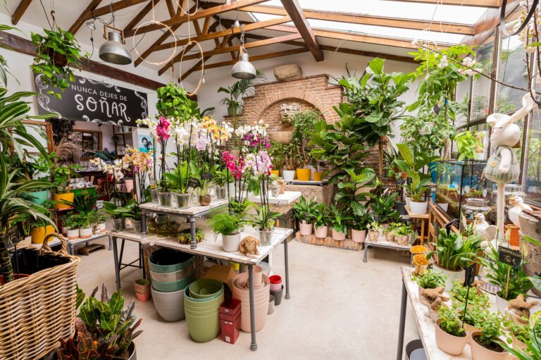 El Angel del Jardin 768x511