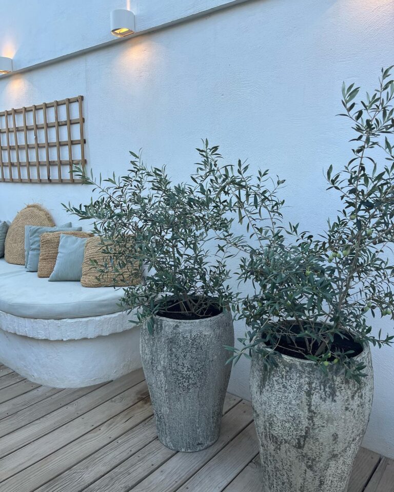 Luuma Beach Marbella 4 768x960