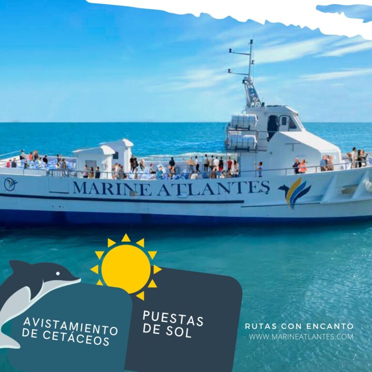 Marine Atlantes 5 768x768