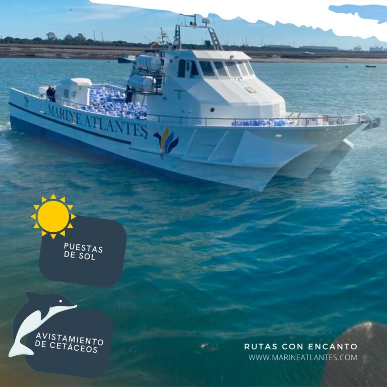 Marine Atlantes 6 768x768