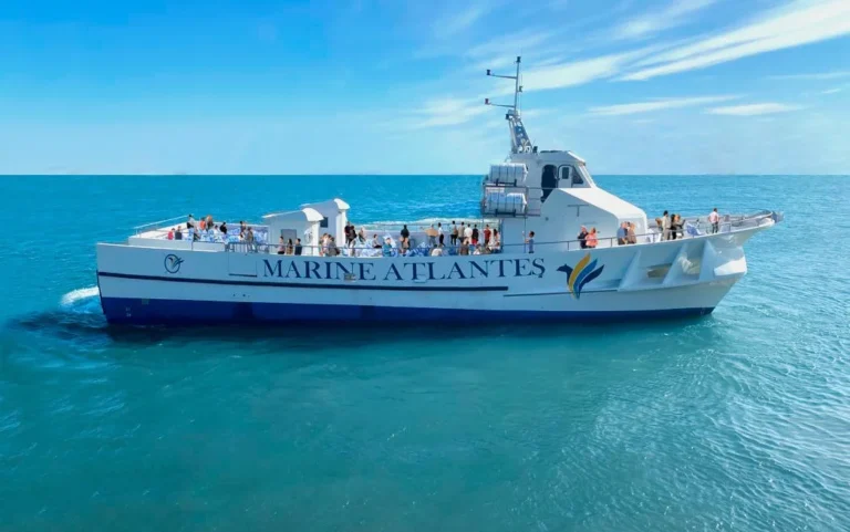 Ruta y visita de la Almadraba en barco 2 768x481