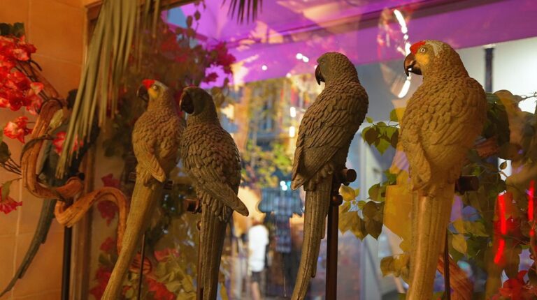 Aguapanela 3 768x430