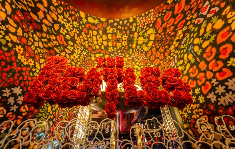 Barbara Ann Sol 6 768x489