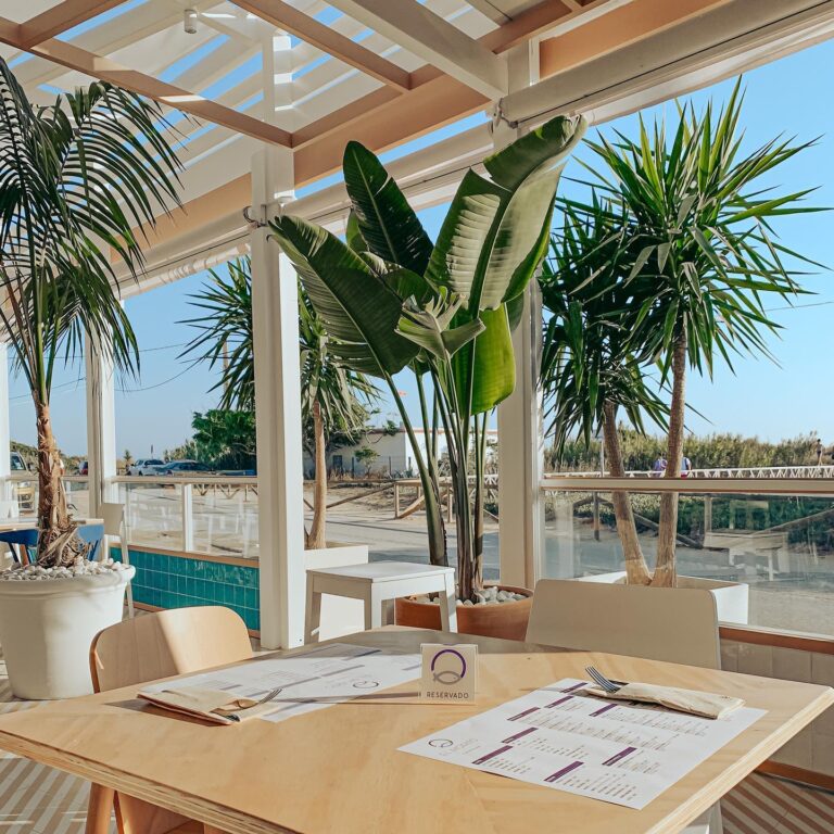 El Morito El Palmar 12 768x768