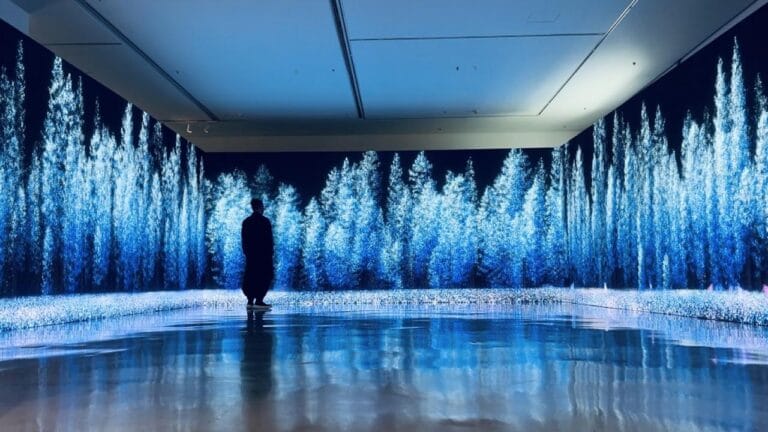 Exposicion inmersiva Seasonal Proximities en La Serreria Belga 768x432