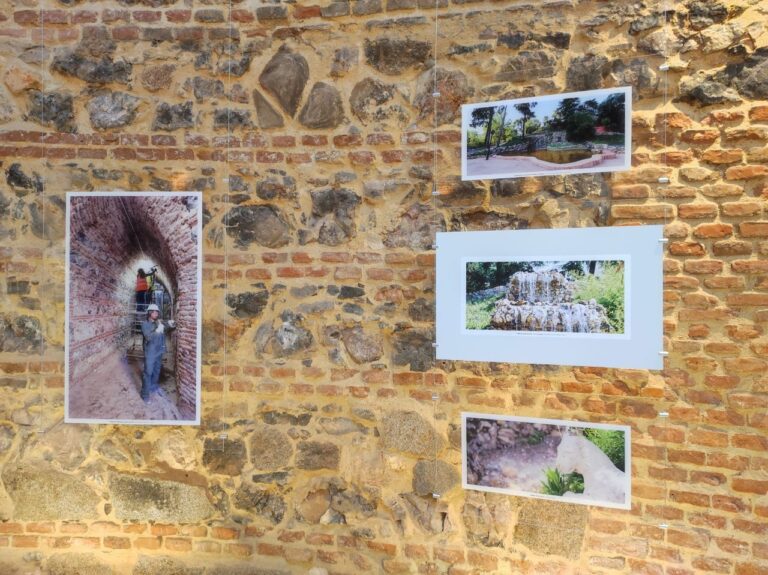 La Montana de los Gatos de El Retiro 6 768x575