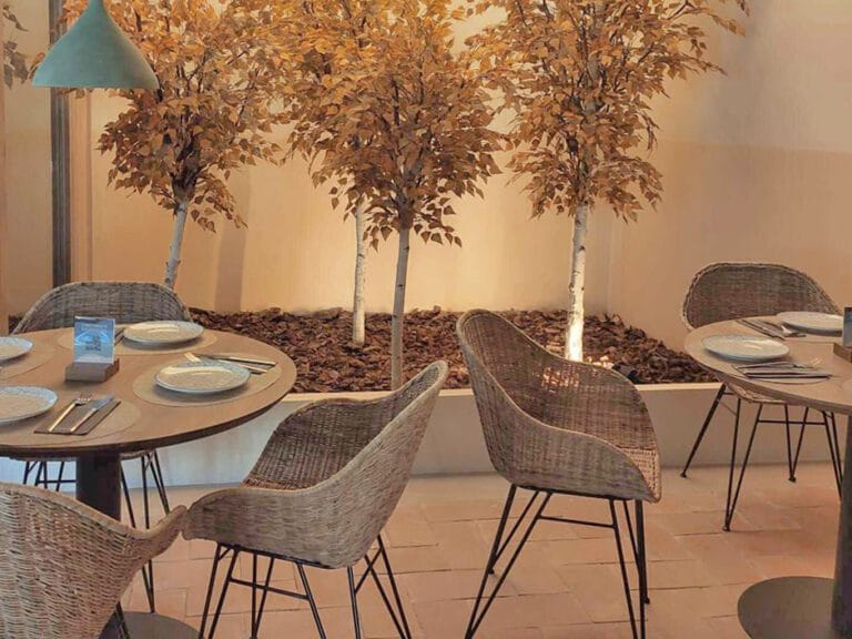 Saona Chamberi 2 768x576