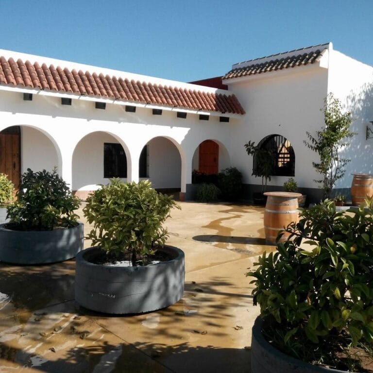 Venta El Albero 6 768x768