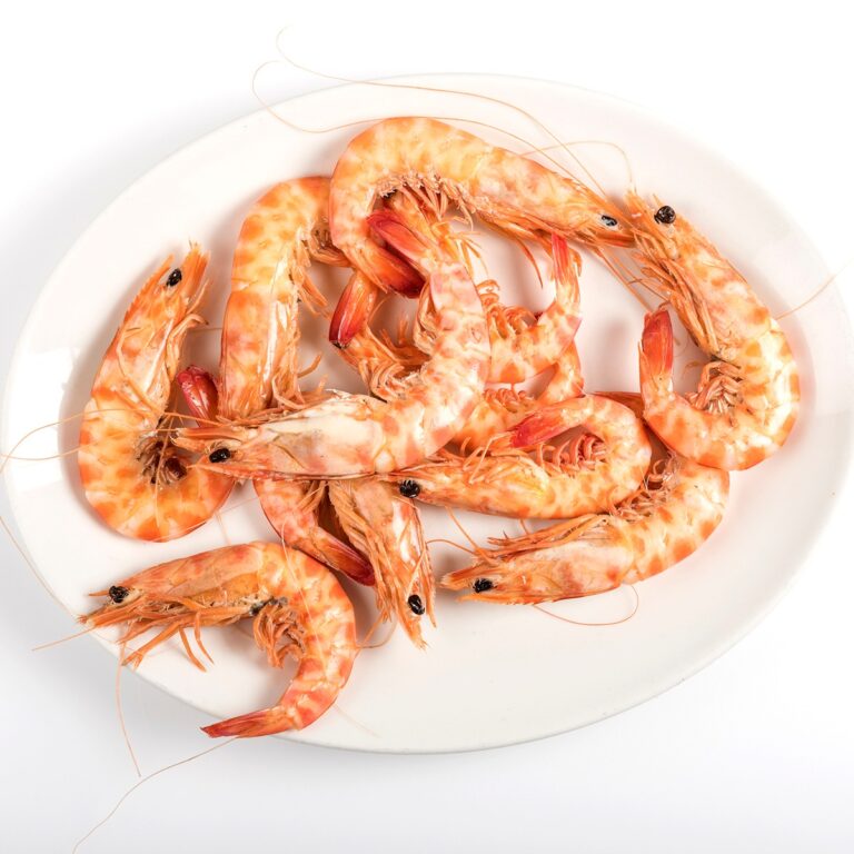 Venta Esteban 5 768x768