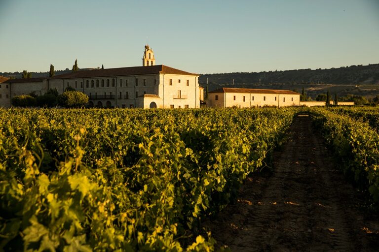 Abadia Retuerta LeDomaine 13 768x512