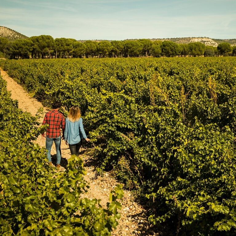 Abadia Retuerta LeDomaine 20 768x768