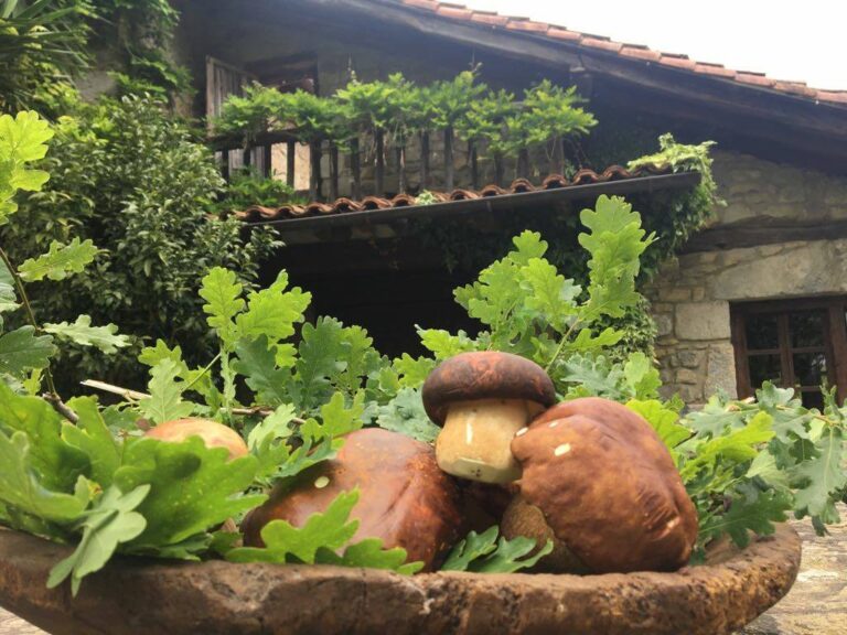 Baserri Maitea 3 768x576