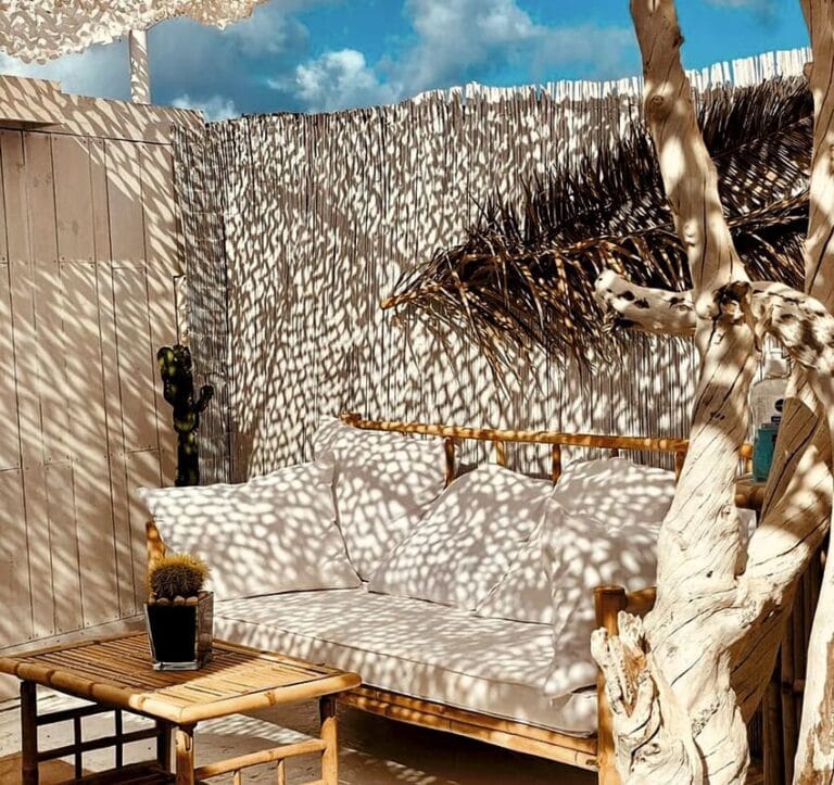 Be Papagayo 768x723