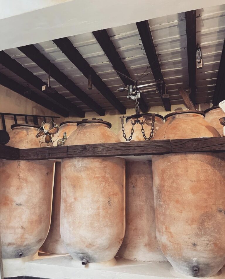 Bodega Diaz Salazar 10 768x953