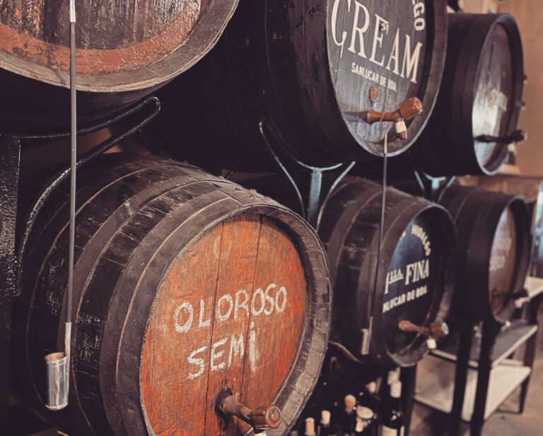 Bodega Diaz Salazar 3 768x616