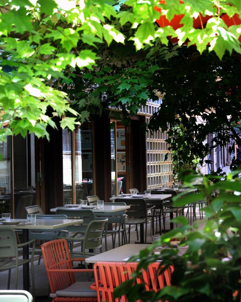 Bosco de Lobos Madrid 9 768x960