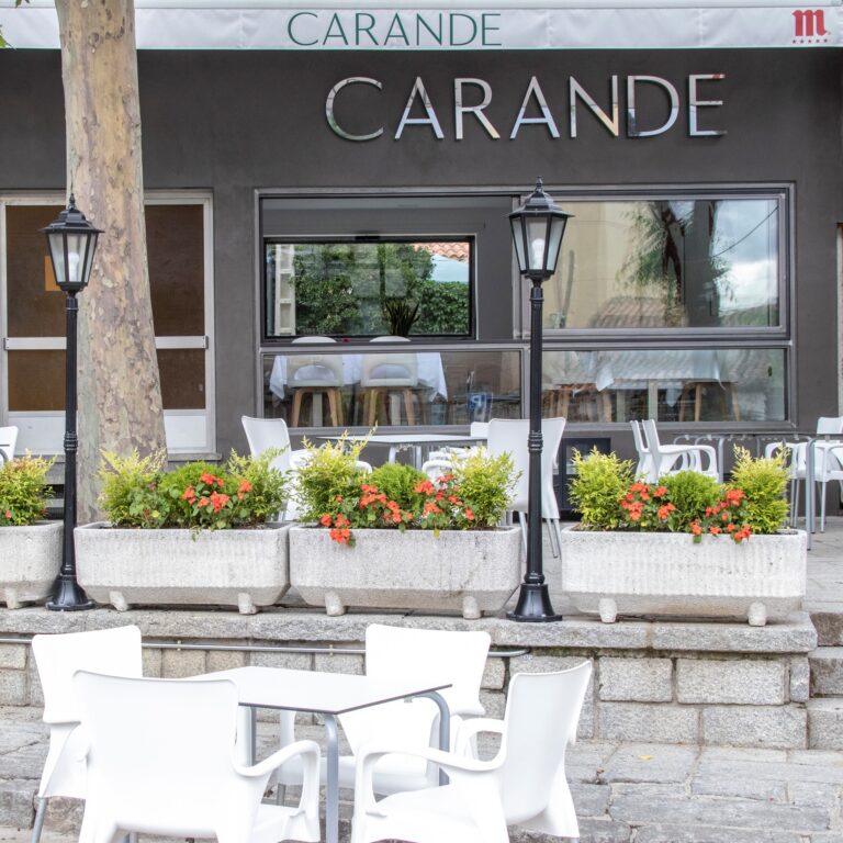 Carande 8 768x768