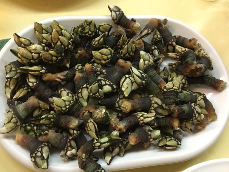 Casa Caneiro 9 1 768x576