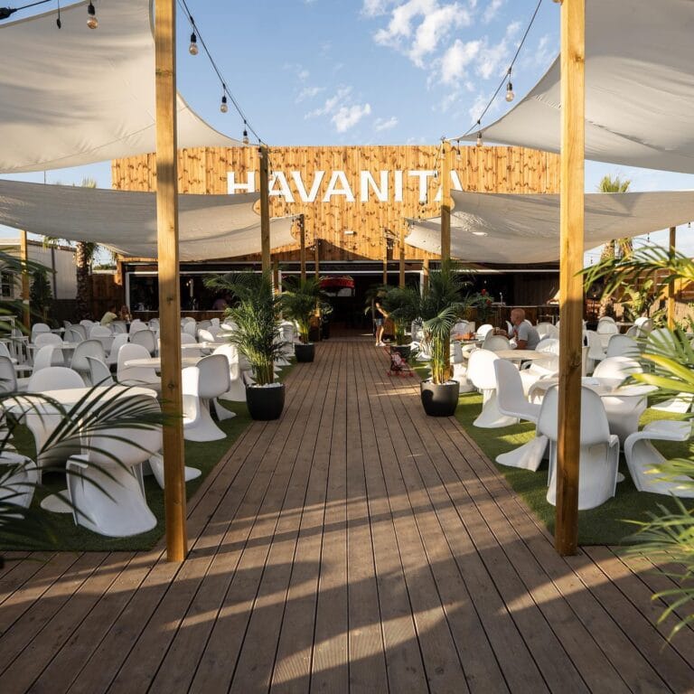 Havanita El Palmar 4 768x768