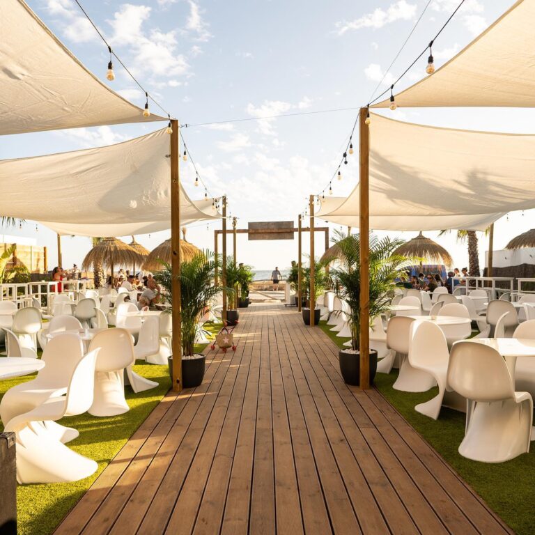 Havanita El Palmar 5 768x768