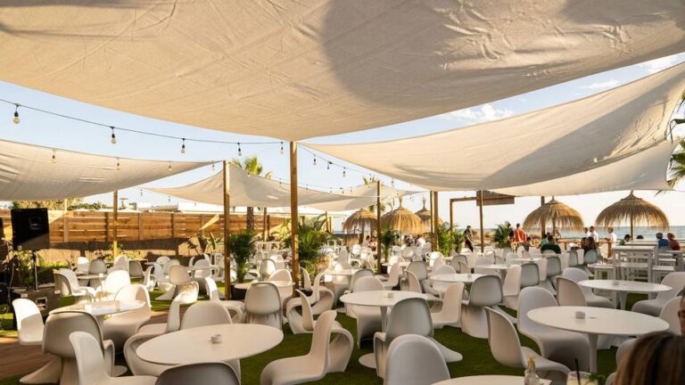 Havanita El Palmar 768x432