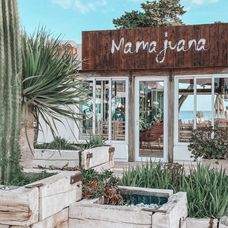 Mamajuana Ibiza 5 768x768