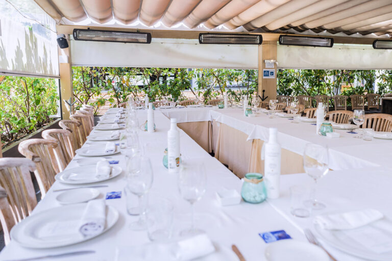 Materia Prima 5 768x512